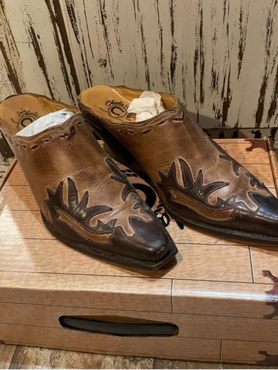 Lucchese Shoes - Luccehe Charlie one horse mules. 8